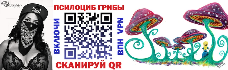 Псилоцибиновые грибы Psilocybe  дарнет шоп  Татарск 