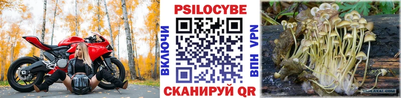 Псилоцибиновые грибы мицелий Татарск